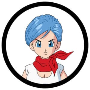 Bulma Clothing, Merchandise, and Gifts