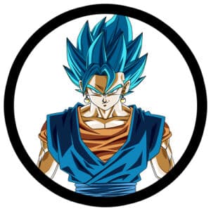 Vegito Clothing, Merchandise, and Gifts